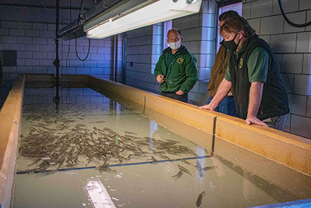 FISHERIES